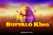 Buffalo King