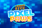 Pixel Paws